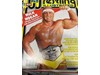 WWF Complete 1990 Pro Wrestling Illustrated Magazine PINUPS Sid Sting Hart Muta