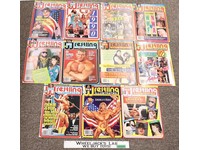 WWF 1991 Pro Wrestling Illustrated Magazine Lot of 11 w/ Posters *Hulk Hogan*