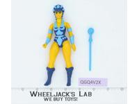 Evil Lyn 100% Complete He-Man Masters Of The Universe MOTU Mattel 1983 Vintage