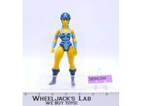 Evil Lyn He-Man Masters of the Universe MOTU 1983 Mattel Action Figure Vintage