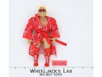 Ric Flair WWE Wrestling Superstars 2021 Mattel Action Figure