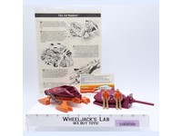 Thunderclaw 1987 Air Raiders Vintage Hasbro Action Figure