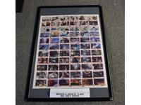Poster of Top Card Images NOT FRAMED Star Wars ESB 1980 Kenner 28x22