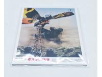 Lot of 7 Godzilla vs Mothra Post Cards 5.5x4 2018 Toho