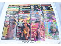 WWF Huge Lot of 38 Magazines 1990 1991 1992 1994 Vintage