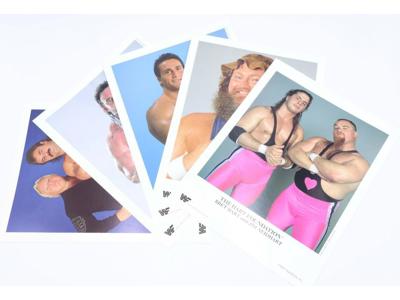 WWF (5) Color Promo Photos 1987 1988 Official 8 x 10 Hercules Paul Roma Hart