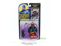 First Mate Robin Legends Of Batman 1995 Kenner NEW MOSC Figure