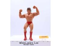 Paul Mr. Wonderful Orndorff 1986 WWF LJN Titan Sports 8" Wrestling Superstars