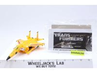 Sunstorm Rainmakers Complete Transformers Machine Wars Botcon 2013 Hasbro