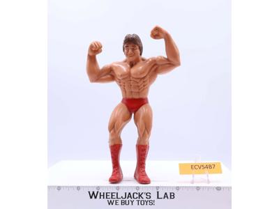 Paul Mr. Wonderful Orndorff 1986 WWF LJN Titan Sports 8" Wrestling Superstars