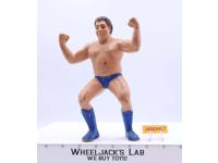 Andre The Giant Short Hair 1986 WWF LJN Titan Sports 8" Wrestling Superstars