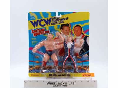 Blue Bloods Tag Team Wrestlers NEW MOSC 1994 WCW Original Toymakers SF Figure