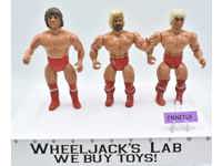 Buddy Roberts Hayes Fabulous Freebirds AWA Wrestling 1985 Remco Action Figure