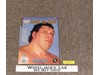 WWF Spotlight Special ANDRE the GIANT Vol 20 1993 Collector's Memorial w/ Poster