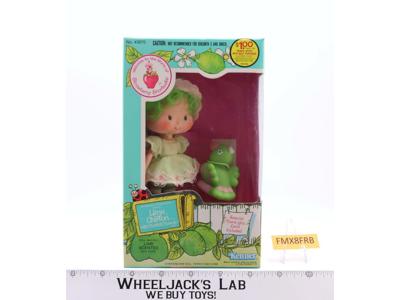 Lime Chiffon W/ Parfait Parrot Pet Strawberry Shortcake 1982 Kenner Vintage Doll