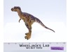 Juvenile T-REX JP42 W/Cast Jurassic Park The Lost World 1997 Hasbro Figure