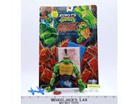 Kung-Fu Raph 100% Complete W/Card Tournament Fighters TMNT 1994 Playmates