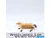 Horse Colt Nylint Corp Vintage Hard Plastic 6" Tan and Black Farm Animal
