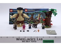 #75967 Umbridge's Encounter 100% Complete + Manual Harry Potter 2020 Lego