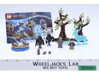 #75945 Expecto Patronum 100% Complete NO Manual Harry Potter 2019 Lego