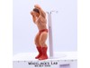 Paul Mr. Wonderful Orndorff 1985 WWF LJN Titan Sports 8" Wrestling Superstars