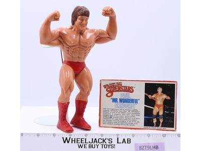 Paul Mr. Wonderful Orndorff 1985 WWF LJN Titan Sports 8" Wrestling Superstars