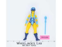 Evil Lyn 100% Complete He-Man Masters Of The Universe MOTU Mattel 1983 Vintage