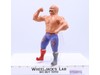 Iron Sheik 1985 WWF LJN Titan Sports 8" Vintage Wrestling Action Figure