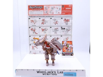 Triceradon Transformers Universe Walmart Exclusive 2003 Hasbro Action Figure