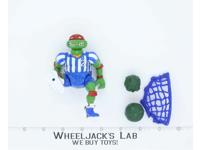 Shell Kickin' Raph 100% Complete Teenage Mutant Ninja Turtles Playmates 1991