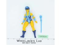 Evil Lyn 100% Complete He-Man Masters Of The Universe MOTU Mattel 1983 Vintage