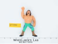 Jake The Snake WWF WWE Hasbro Wrestling 1990 Titan Sports Vintage Action Figure