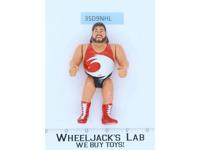 Typhoon WWF WWE Hasbro Wrestling 1991 Titan Sports Vintage Action Figure