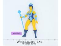 Evil Lyn 100% Complete He-Man Masters Of The Universe MOTU Mattel 1983 Vintage