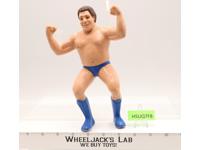 Andre The Giant Short Hair 1986 WWF LJN Titan Sports 8" Wrestling Superstars