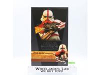 TMS012 Incinerator Stormtrooper Star Wars Mandalorian 2020 Hot Toys 1/6 Figure