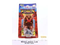 Grizzlor The Evil Horde Masters of the Universe MOTU 1984 Mattel MOSC SEALED NEW