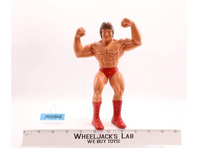 Paul Mr. Wonderful Orndorff 1985 WWF LJN Titan Sports 8" Wrestling Superstars