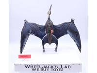 Pteranodon Jurassic Park III 3 Dinosaur 2000 Hasbro Action Figure WORKS