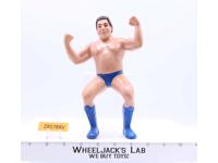 Andre The Giant Short Hair 1986 WWF LJN Titan Sports 8" Wrestling Superstars