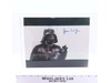 Darth Vader Star Wars James Earl Jones AUTOGRAPHED 8x10 Picture