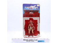 Teela 100% Complete 8-Back He-Man Masters of the Universe MOTU 1982 Mattel