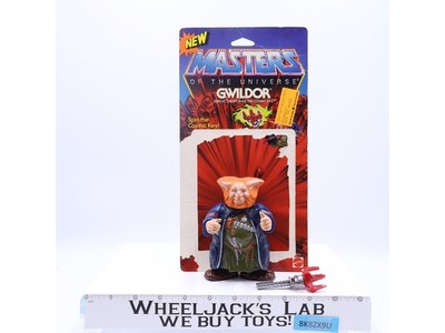 Gwildor W/10 CARDBACK Complete He-Man Masters of the Universe MOTU Mattel 1987