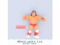 Texas Tornado 100% Complete WWF WWE Wrestling 1992 Hasbro Vintage Action Figure