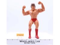 Paul Mr. Wonderful Orndorff 1984 WWF LJN Titan Sports 8" Wrestling Superstars