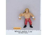 Triple H WWE Retro Mattel 2023 Wrestling Action Figure DX 4.5"
