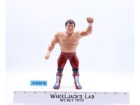 British Bulldogs Davey Boy #2 WWF 1986 LJN Titan Sports 8" Wrestling Figure