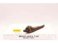 Mothra Larva Godzilla 1964,1991 Bandai 6" Japan Soft Vinyl Action Figure