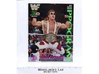 WWF Lineup Sheet Orlando 1/10/93 1993 Program Magazine 209 Shawn Michaels Poster