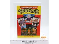 Enter the Turtles Book 1 Teenage Mutant Ninja Turtles Scholastic